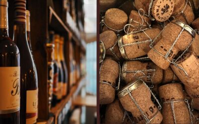 El Mundo del Vino