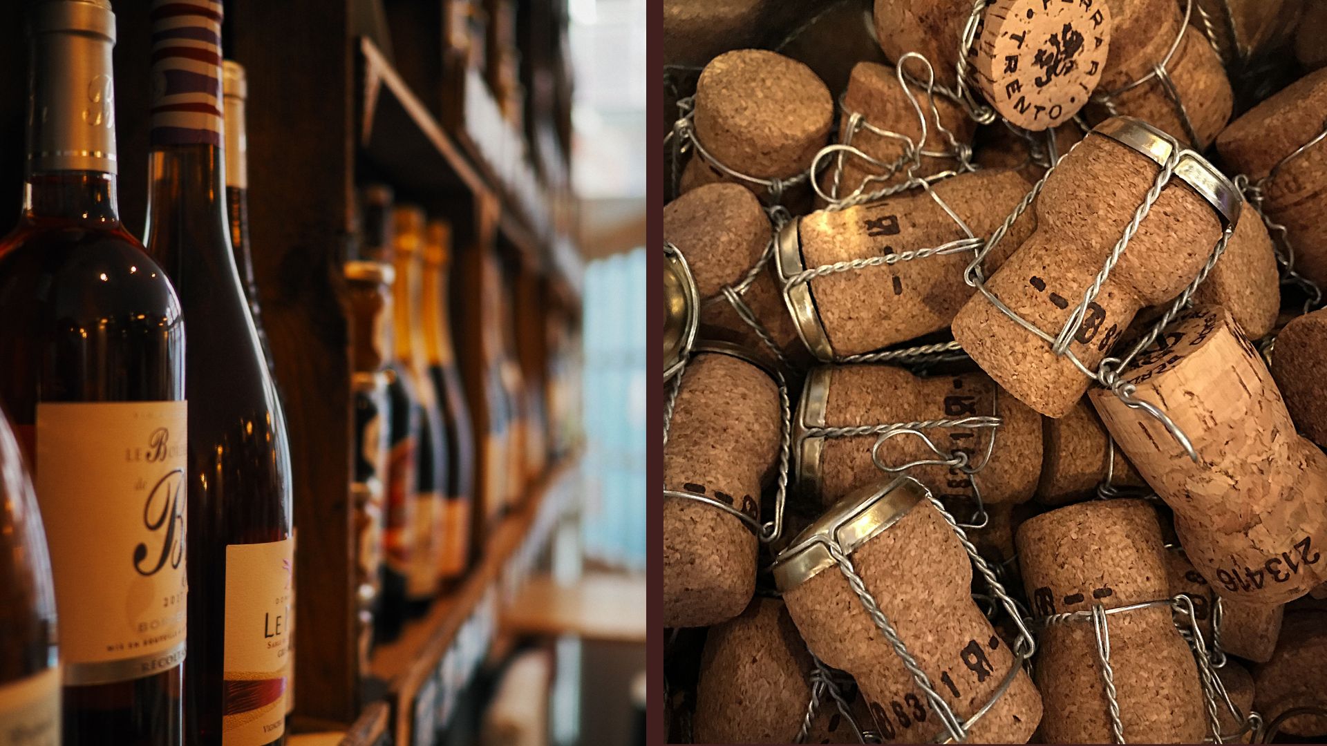 Articulo Mundo del vino